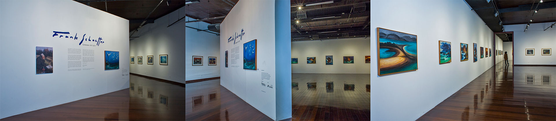 Exposição comemorativa dos 100 anos de Frank Schaeffer - 2017